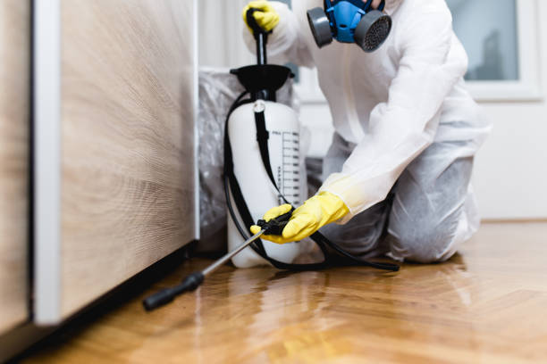Professional Pest Control in Piedmont, AL