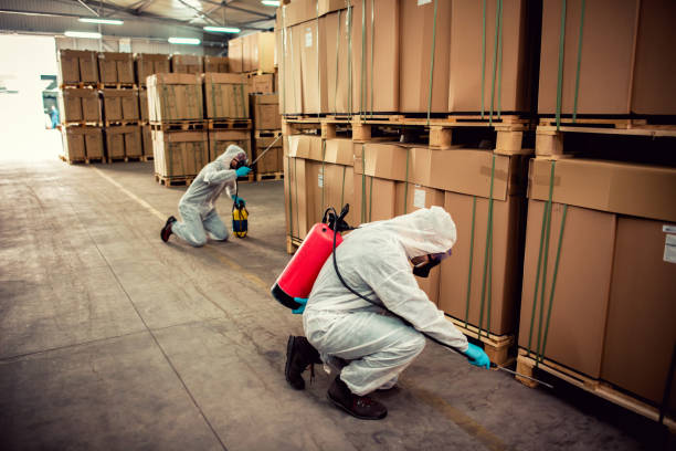 Best Affordable Pest Control Services  in Piedmont, AL