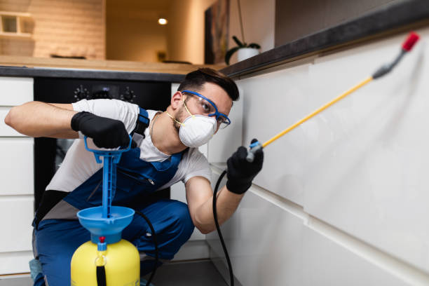 Best Cockroach Control Services  in Piedmont, AL