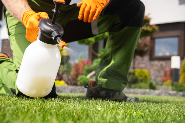Best Emergency Pest Control  in Piedmont, AL