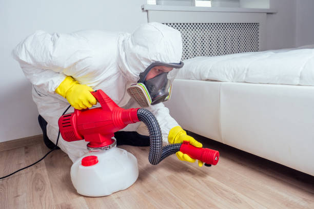 Best Pest Prevention Services  in Piedmont, AL