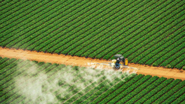Best Best Pest Control Companies  in Piedmont, AL
