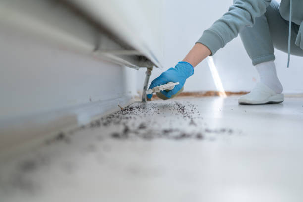 Best Termite Control Services  in Piedmont, AL