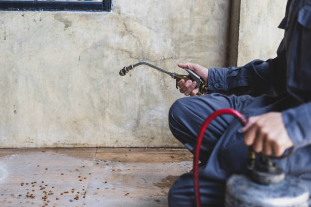 Best Affordable Pest Control Services  in Piedmont, AL